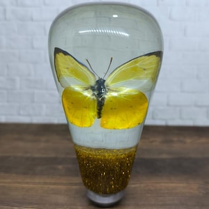 Underwater REAL Insect Butterfly Gear Shift Knob Acrylic Resin_P10