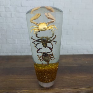 Underwater REAL Scorpio Scorpion Spider Tarantula Gear Shift Shifter Knob Acrylic Resin_a289