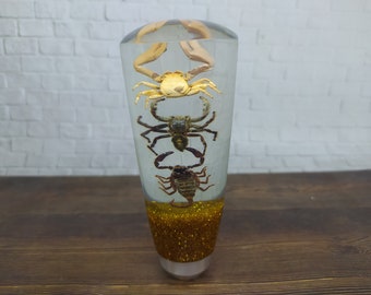 Underwater REAL Scorpio Scorpion Spider Tarantula Gear Shift Shifter Knob Acrylic Resin_a289