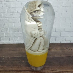 Op de afbeelding: Een heldere glazen bol met een wit skeletfiguur erin. De bol heeft een gele basis.