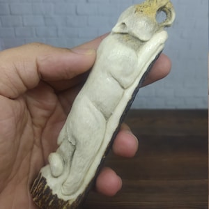 Cougar Lion Tiger Mango Cuchillo Cuchillo Bastón Bastón de Ciervo Asta Tallada_x3
