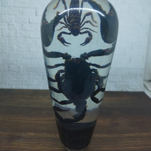 Perilla de cambio de marchas Submarina REAL Fighting Scorpio Scorpion de Acrílico Resin_c132