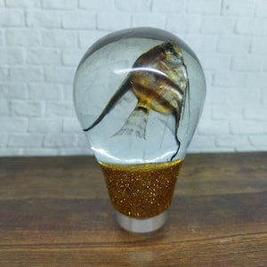 Op de afbeelding: Een transparante glazen versnellingspookknop met een gouden glitterbasis en een geconserveerde vis erin.
