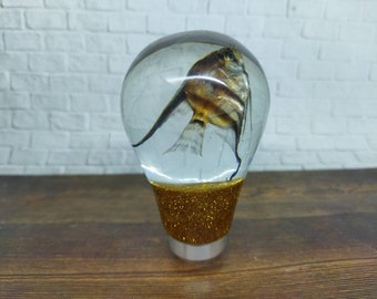 Underwater REAL Angelfish Angel Fish Manfish Gear Shifter Knob Acrílico Resin_a341