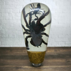 May include: A clear resin gear shift knob with a preserved tarantula spider inside. The bottom of the knob is covered in gold glitter.