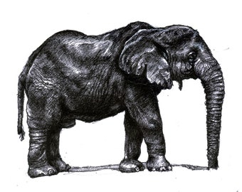 Original Art Print, "Elephant" (4"x6", 5"x7" and 8"x10" sizes available)