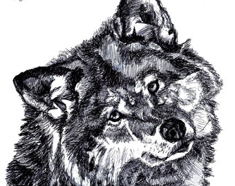 Original Art Print,"Curious Wolf" (4"x6", 5"x7" and 8"x10" sizes available)