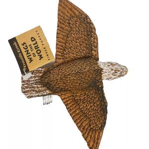 May include: A brown and white eagle finger puppet with outstretched wings. The puppet has detailed feather patterns and a tag that reads "WINGS OF THE WORLD FINGER PUPPET" and "Crocodile Creek."