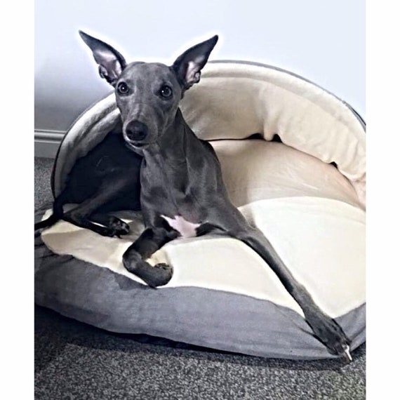 cozy cave dog bed xl