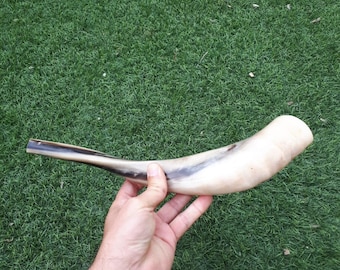 Shofar Ram Horn Trumpet from Israel Polished Koѕhеr Trаdіtіonаl  Judaica Jewish 12-14 Inch