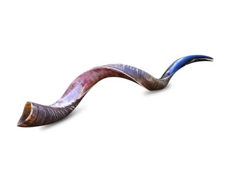 Shofar judío Kudu de 32-34 pulgadas (80-85 cm), Israel Shofar Gran Sonido