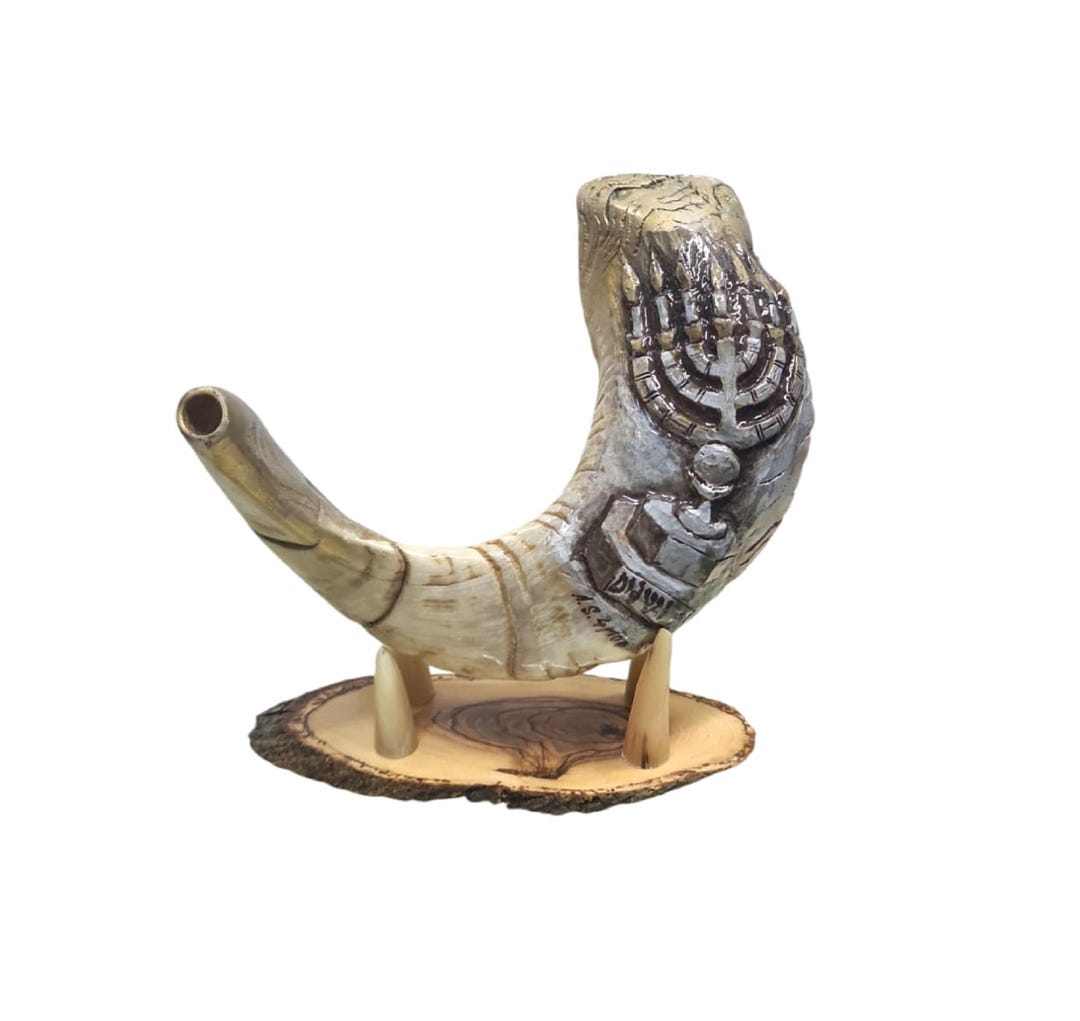 Shofar Authentique En Corne De Bélier D'Israël - 30,5-35,6 Cm, Casher, Poli
