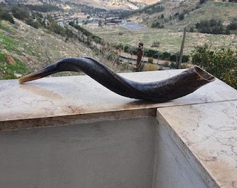 Natuurlijke Jemenitische joodse sjofar koedoehoorn 24-28 inch (60-70 cm), gemaakt in Israël Prachtig geluid