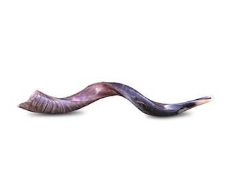 Shofar de cuerno de kudú yemení, instrumento judío (24-28 pulgadas)