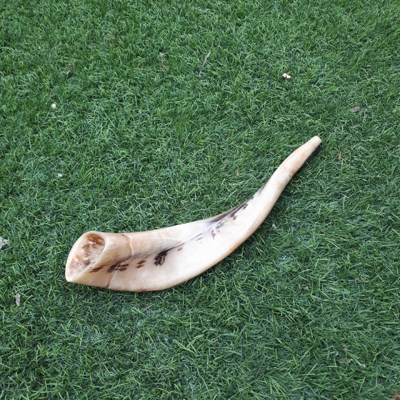 Ram Horn Shofar Trumpet From Israel Full Polished Etsy