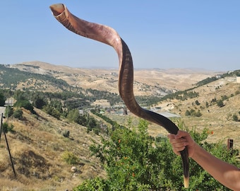 Grote kudu-hoornsjofar: half gepolijst, half natuurlijk (46-48 inch)