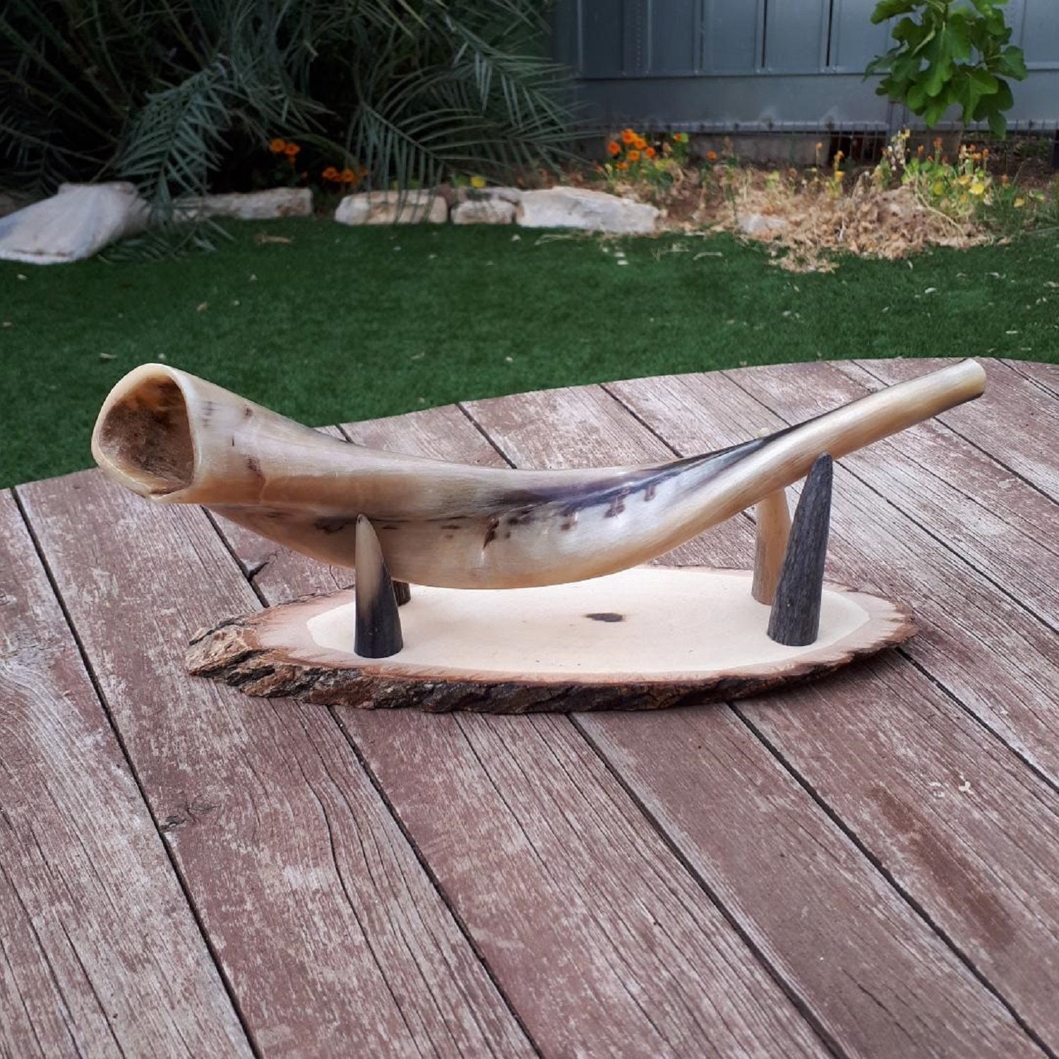 Shofar Stand Holder Ram Horn Shofar Trumpet From Israel Full Etsy