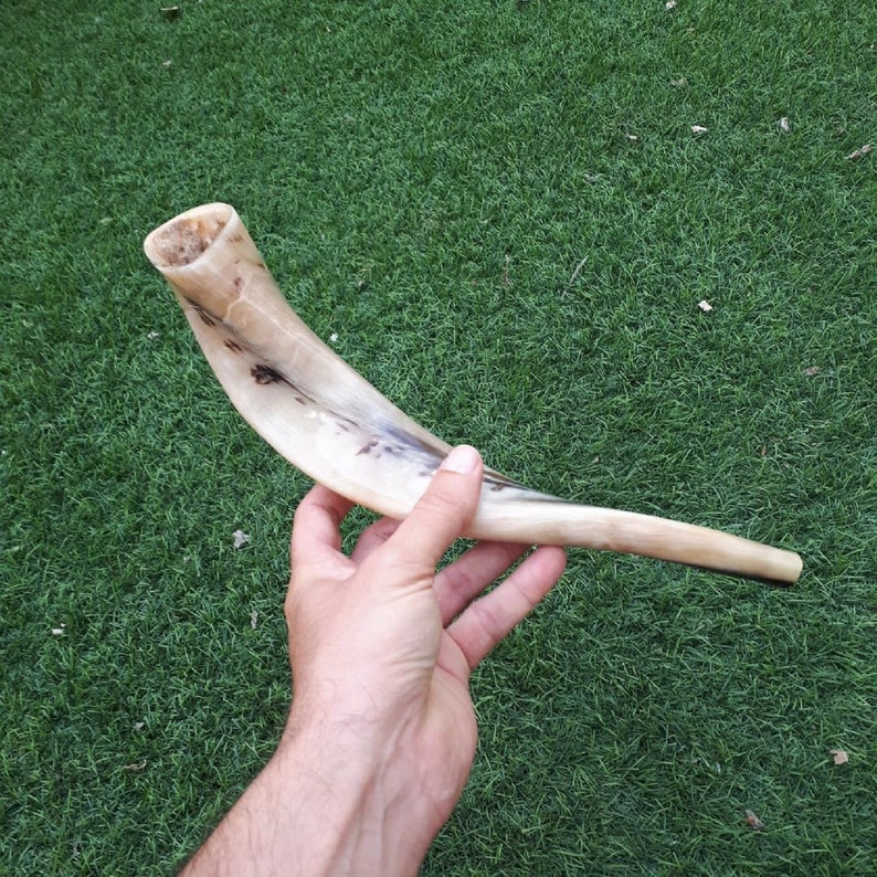Ram Horn Shofar Trumpet From Israel Full Polished Etsy