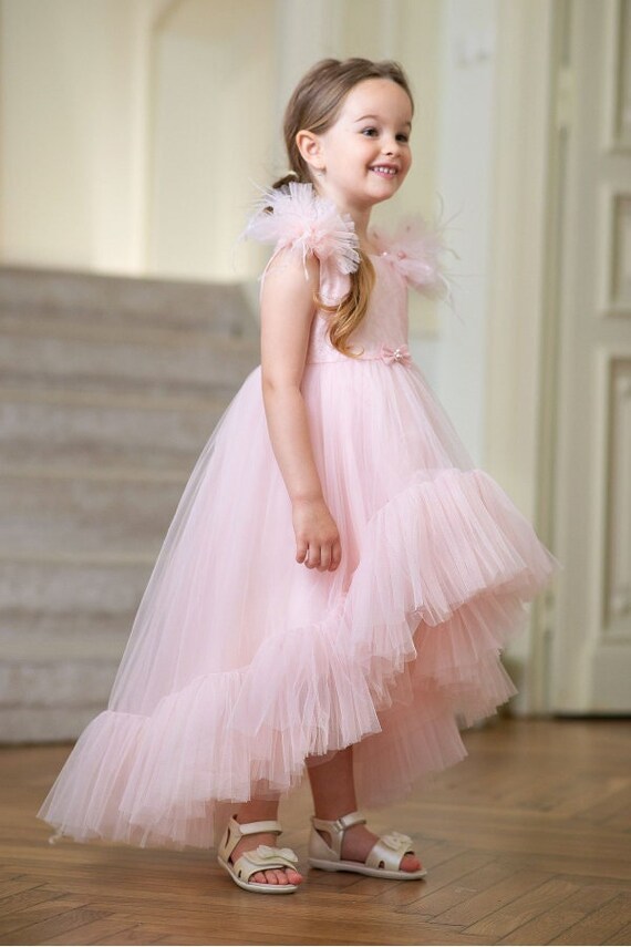 Pink Princess Pale Pink Tutu Girl Dress With Lace Bust and Ruffles Flower Girl Dress Birthday Dress Wedding Dress Feathers Girl Dress Etsy