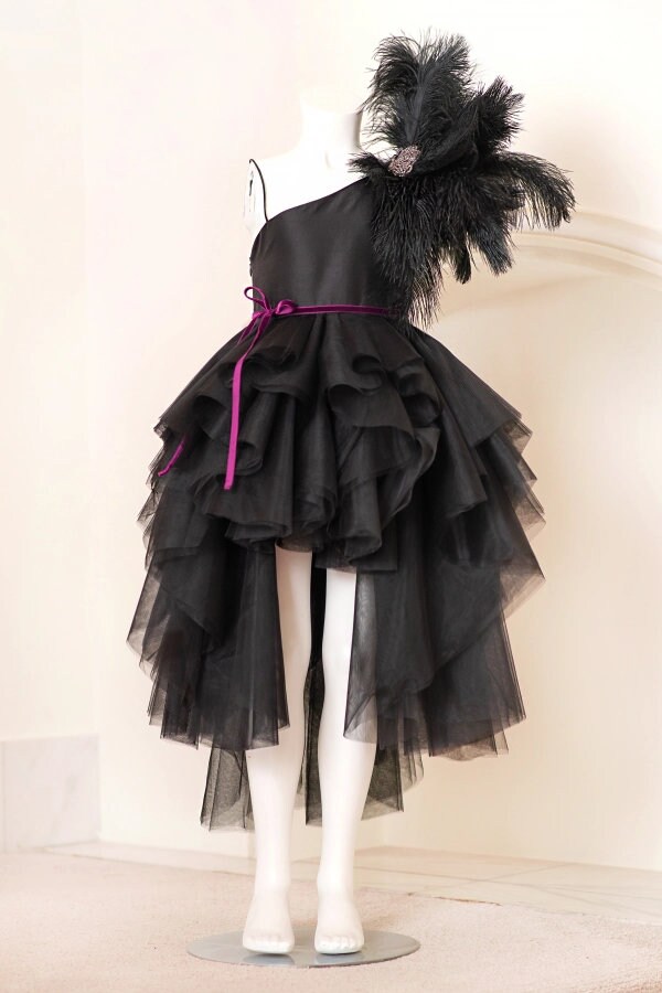 Enchanted Night - Black Tutu Dress With Feathers and