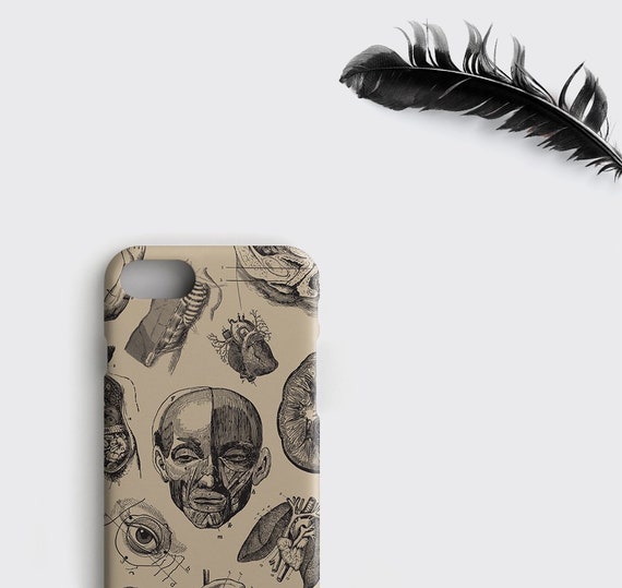 Anatomy of a Fox iPhone 11 case Anatomy of a Fox iPhone 11 case