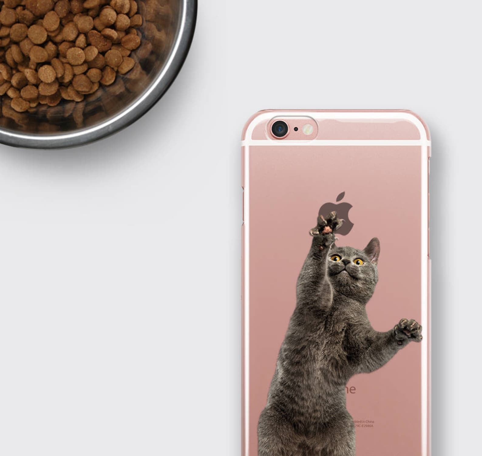 Iphone cat. Кошка с айфоном. Кошка с айфоном 12. Котик держит айфон. Кошка с айфоном 13