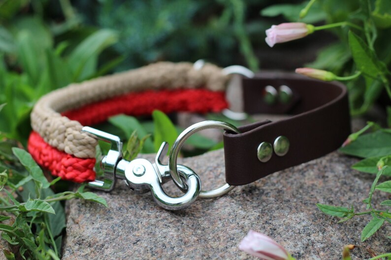 Wild Ferns Collection Red desert collar