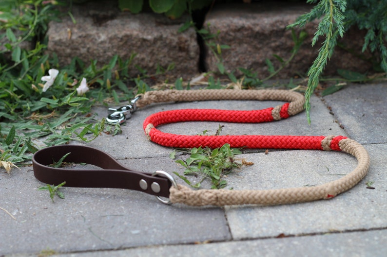 Wild Ferns Collection Red desert collar