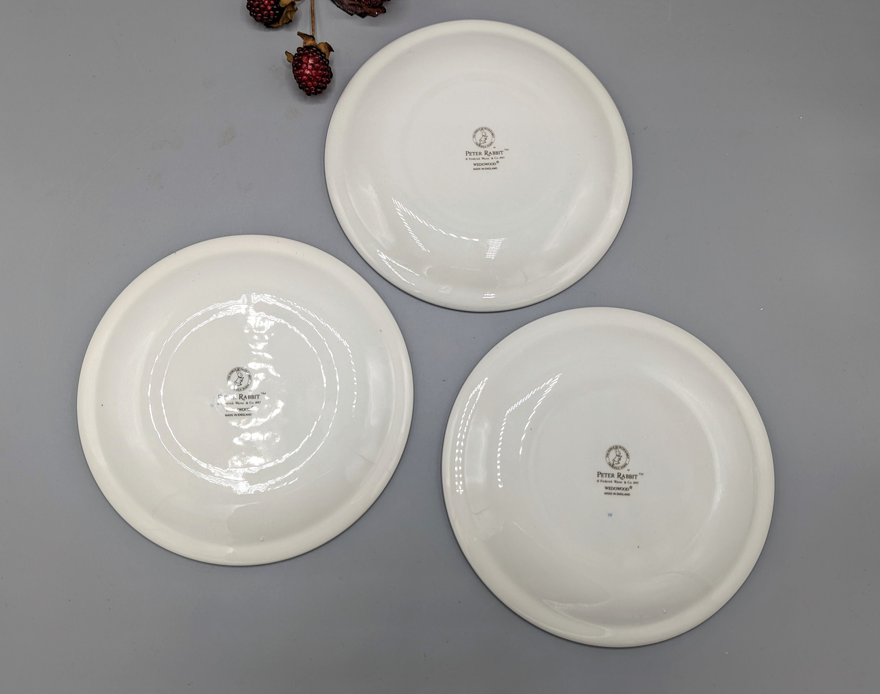 1997 Peter Rabbit Beatrix Potter Collectible Plate Set by Wedgwood