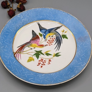 May include: A white porcelain plate with a blue rim and a gold trim. The center of the plate features a hand-painted design of two birds perched on a branch with red berries. The birds are painted in shades of blue, yellow, pink, and red.