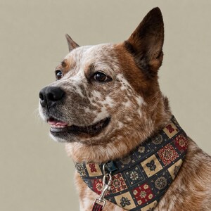 Può includere: Un cane maculato di rosso e bianco con un collare a bandana fantasia e un guinzaglio abbinato. La bandana presenta un motivo quadrato ripetuto in blu navy, beige e rosso. Il cane ha gli occhi marroni e guarda a sinistra.