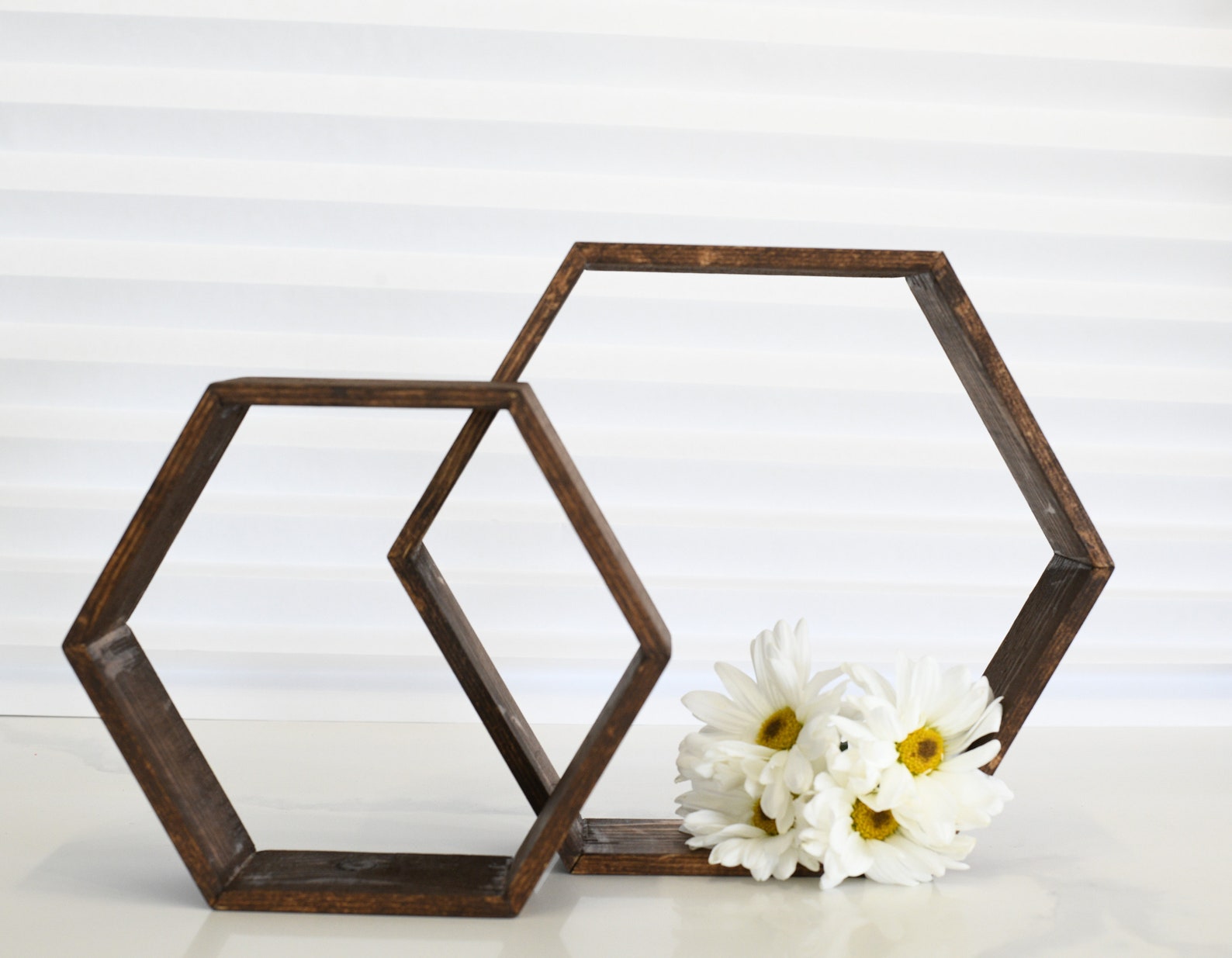 Wood Hexagon Terrarium Frame Geometric Terrarium Wedding Etsy