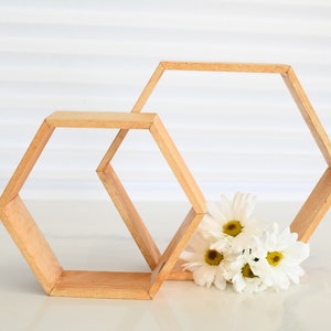 Wood Hexagon Terrarium Frame Geometric Terrarium Wedding Table Decor Terrarium Centerpiece Hexagon Arch Rustic Barnyard Decor image 6