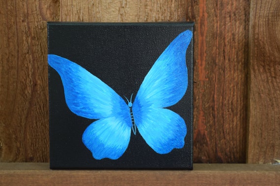 Stunning Blue Butterflies From Around The World - Australian Butterfly  Sanctuary