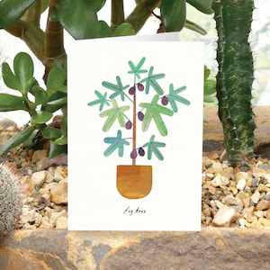 HIGUERA - Tarjeta de felicitación con el cuidado de las plantas, tarjeta con plantas, Ficus Carica, tarjeta para amantes de las plantas, tarjeta botánica, tarjeta con plantas mediterráneas