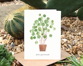PILEA PEPEROMIOIDES - Greeting Card with Plant Care, Plant Card, Pilea Card, Chinese Money Plant, Plant Lover Card, Botanical, House Plant