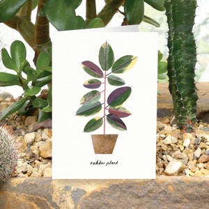 PLANTA DE CAUCHO - Tarjeta de felicitación con el cuidado de las plantas, tarjeta con plantas, Ficus Elastica, tarjeta para amantes de las plantas, tarjeta botánica, tarjeta con plantas de interior