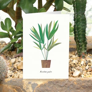 PALMA KENTIA - Tarjeta de felicitación con el cuidado de las plantas, tarjeta con plantas, Howea Forteriana, tarjeta para amantes de las plantas, tarjeta botánica, tarjeta con plantas de interior