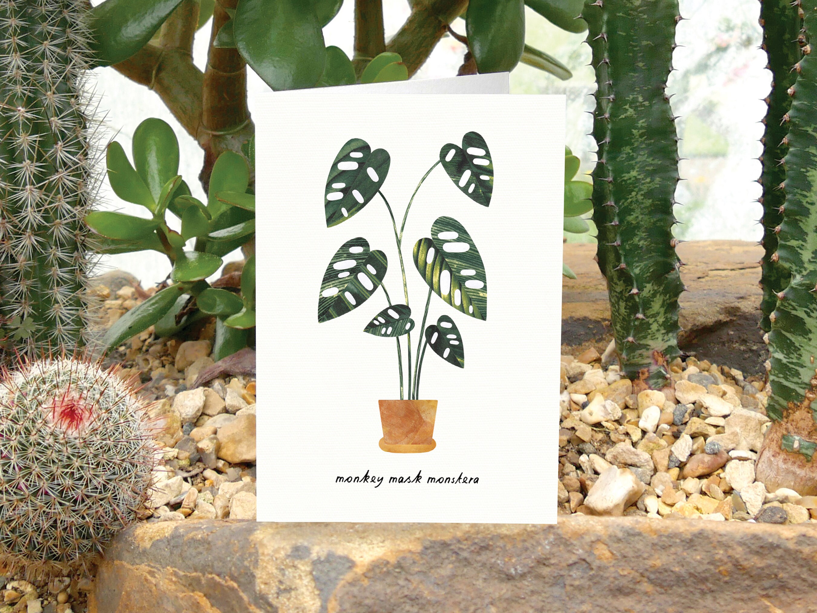 PACK OF 15 House Plant Greeting Cards With Plant Care Tips Etsy