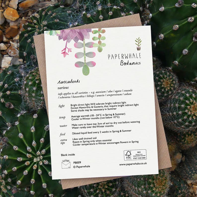 SUCCULENT Greeting Card with Plant Care Succulents Card Etsy