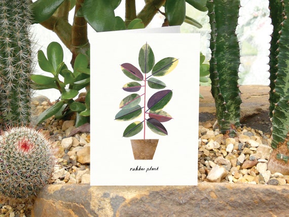 AEONIUM - Biglietto di auguri con cura delle piante, biglietto per