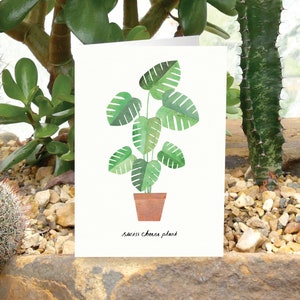 ZWITSERSE KAASPLANT - Wenskaart met plantenverzorging, plantenkaart, Monsteria Deliciosa, plantenliefhebberkaart, botanische kaart, kamerplantkaart