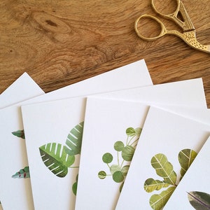 CONFEZIONE DA 6 biglietti di auguri per piante da appartamento con suggerimenti per la cura delle piante, regalo per gli amanti delle piante, regalo botanico, regalo per il giardinaggio, regalo per giardinieri, regalo per piante, set da 6