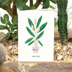 LIRIO DE LA PAZ - Tarjeta de felicitación con cuidado de plantas, tarjeta de planta, Spathiphyllum, tarjeta para amantes de las plantas, tarjeta botánica, tarjeta con planta de interior