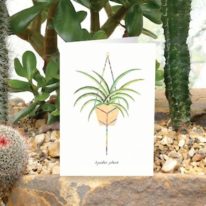 PLANTA ARAÑA - Tarjeta de felicitación con el cuidado de la planta, tarjeta de planta, tarjeta de Chlorophytum, tarjeta para amantes de las plantas, planta araña, tarjeta de planta de interior