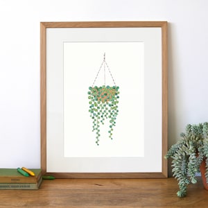STRING OF TURTLES Print - Peperomia Prostrata, House Plant Print, Plant Art, House Plant Gift, Plant Lover Gift, Collage, Illustration