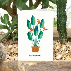 PARADIESVOGEL - Grußkarte mit Pflanzenpflege, Pflanzenkarte, Strelitzia Reginae, Pflanzenliebhaberkarte, Paradiesvogelpflanze, Zimmerpflanzenkarte