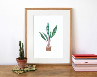 Impresión de CALATHEA - Impresión de planta de interior, impresión de planta de oración, impresión botánica, regalo de planta de interior, regalo para amantes de las plantas, collage, ilustración