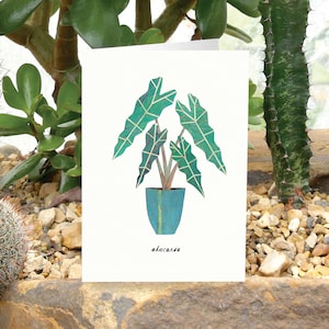 ALOCASIA - Biglietto di auguri per piante con cura delle piante, biglietto per piante, Alocasia Amazonia, biglietto per amanti delle piante, biglietto botanico, biglietto per piante da appartamento