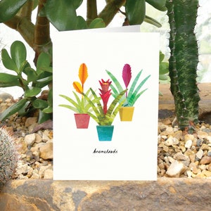 BROMELIADAS - Tarjeta de felicitación con el cuidado de las plantas, tarjeta con plantas, tarjeta con bromelias, tarjeta para amantes de las plantas, planta de bromelias, tarjeta con plantas de interior